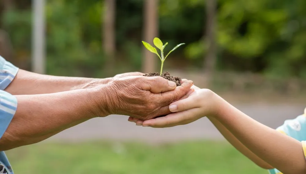 Educação ambiental